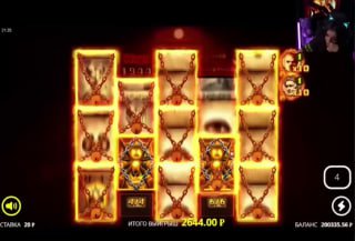 Как играть в лучшие слоты rox casino и выигрывать